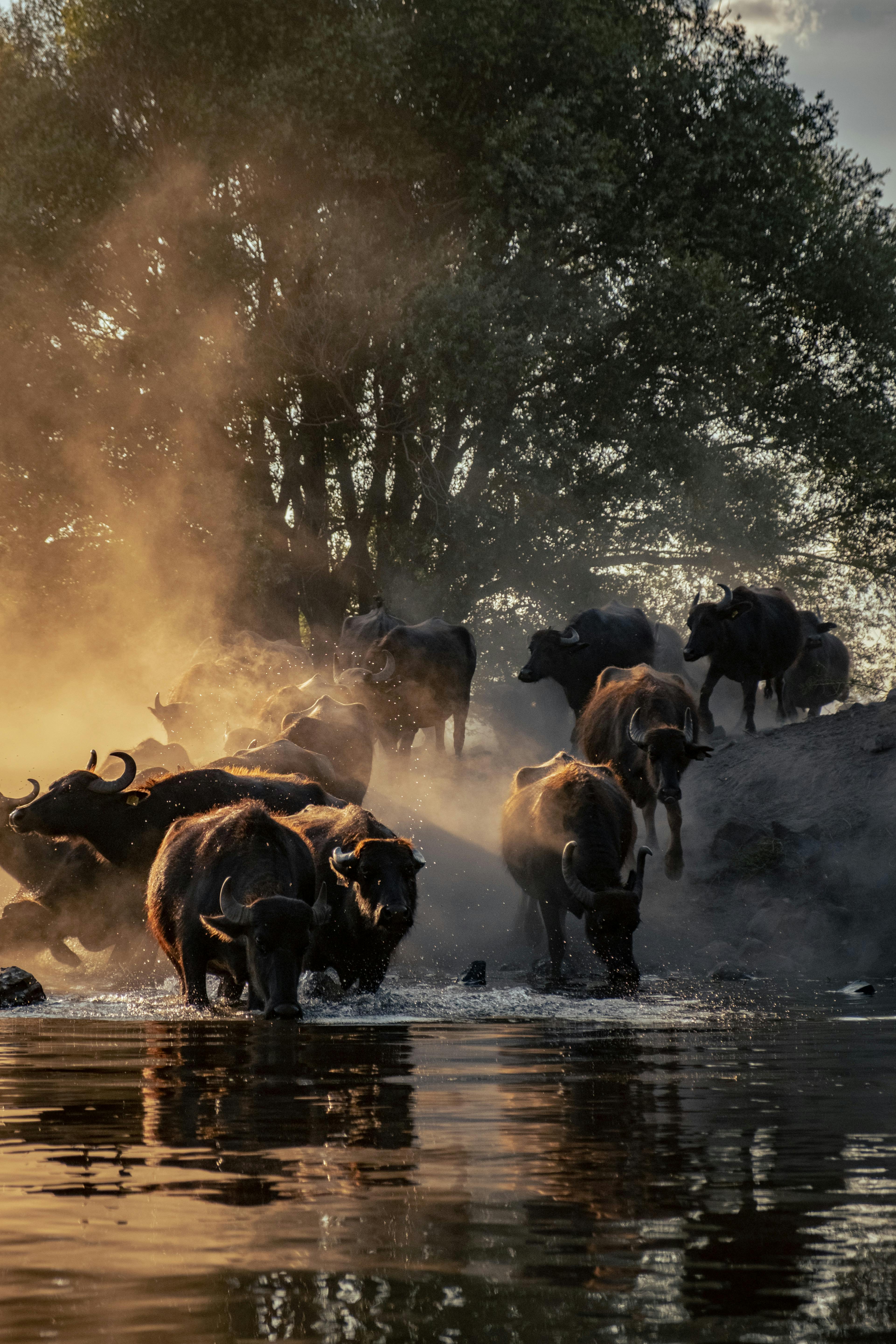 Community engagement discussion